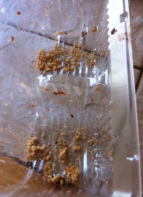 Cookie Crumbs