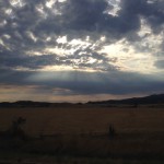 IMG_4797 - Copy